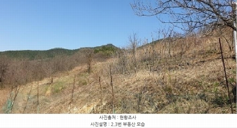 2025타경863 충청남도 예산군 예산읍 산성리 86-1 임야 경매 이미지