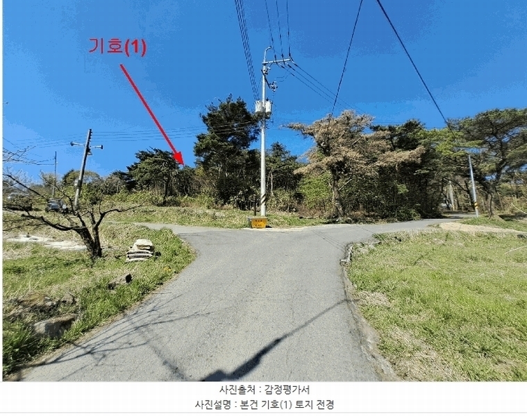 2025타경1033 울산광역시 울주군 두서면 차리 산110-1 임야 경매 이미지