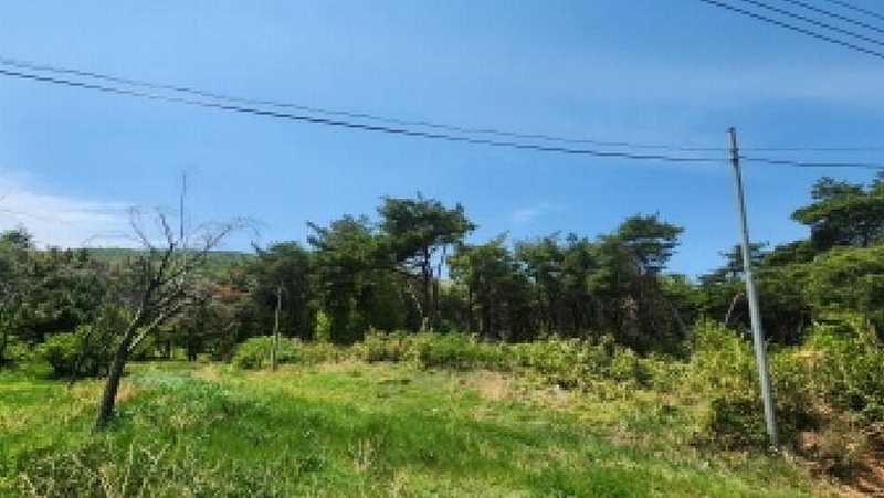 2025타경1033 울산광역시 울주군 두서면 차리 산110-1 임야 경매 이미지