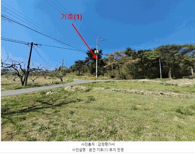 2025타경1033 울산광역시 울주군 두서면 차리 산110-1 임야 경매 이미지