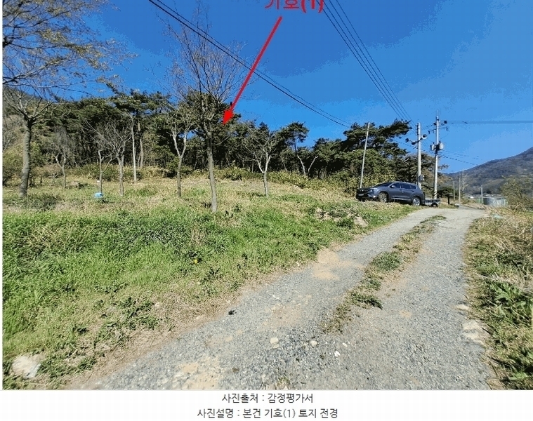 2025타경1033 울산광역시 울주군 두서면 차리 산110-1 임야 경매 이미지