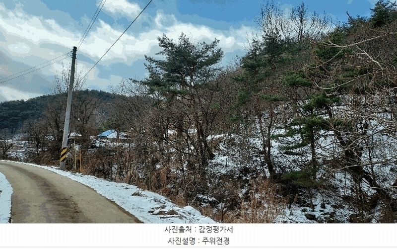 2025타경15506 충청남도 보령시 청라면 옥계리 산31-10 임야 경매 이미지