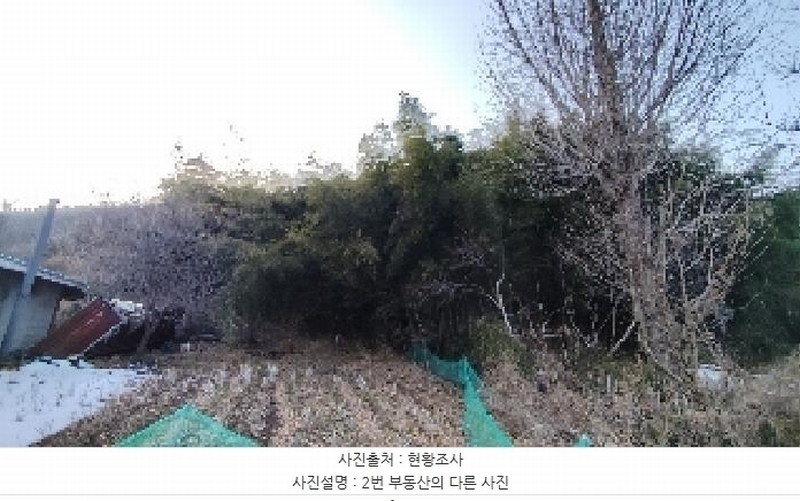 2025타경15506 충청남도 보령시 청라면 옥계리 산31-10 임야 경매 이미지