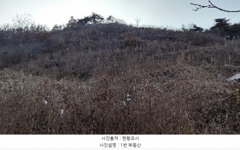 2025타경15506 충청남도 보령시 청라면 옥계리 산31-10 임야 경매 이미지