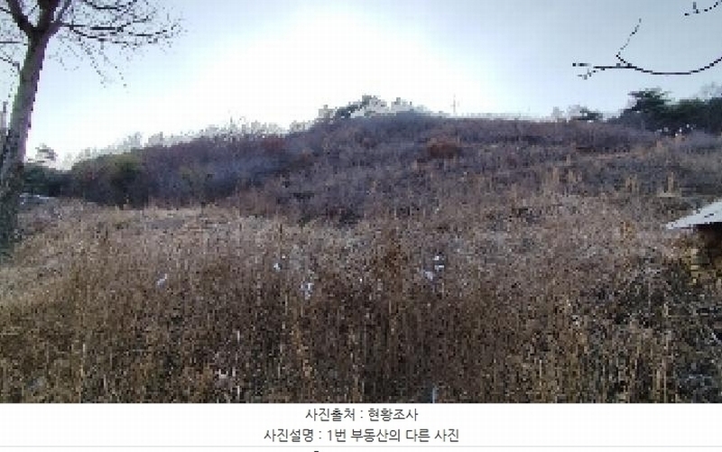 2025타경15506 충청남도 보령시 청라면 옥계리 산31-10 임야 경매 이미지