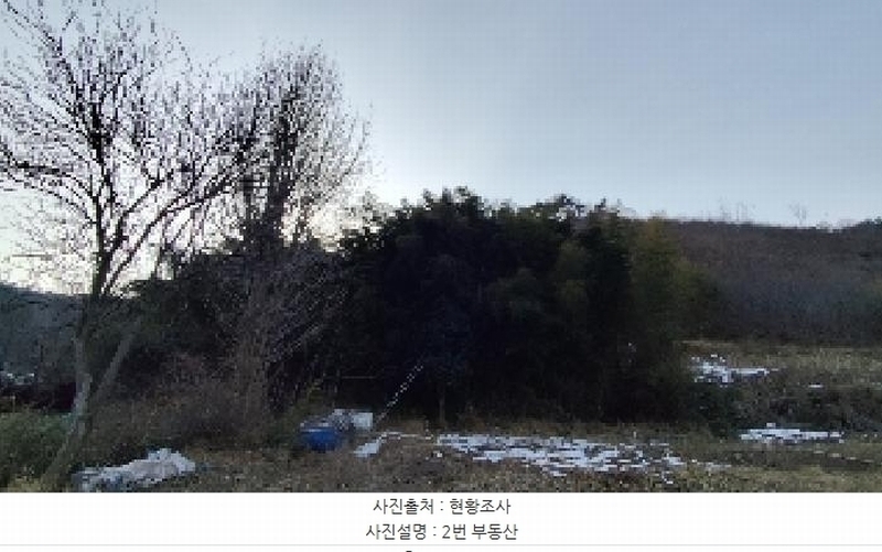 2025타경15506 충청남도 보령시 청라면 옥계리 산31-10 임야 경매 이미지
