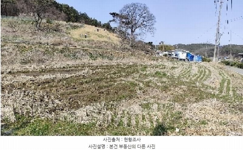 2025타경15597 충청남도 보령시 천북면 장은리 757 농지 경매 이미지