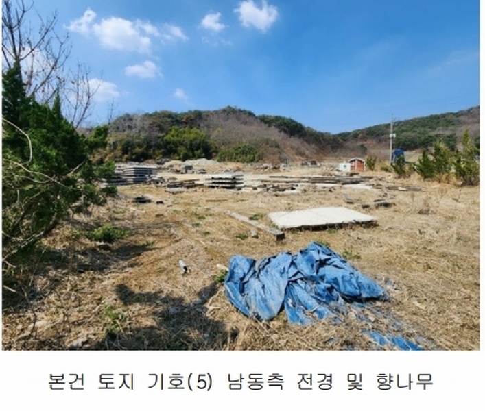 2025타경15598 충청남도 보령시 청라면 내현리 251 임야 경매 이미지