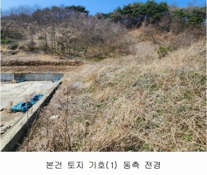 2025타경15598 충청남도 보령시 청라면 내현리 251 임야 경매 이미지