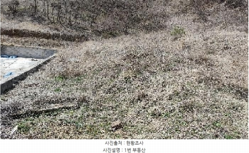 2025타경15598 충청남도 보령시 청라면 내현리 251 임야 경매 이미지