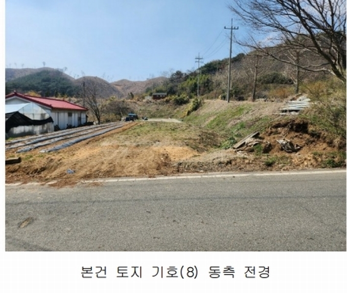2025타경15598 충청남도 보령시 청라면 내현리 251 임야 경매 이미지