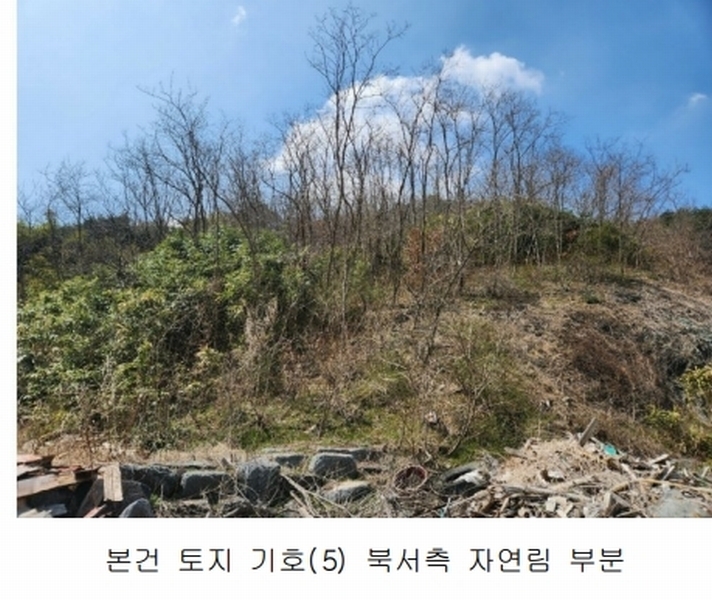2025타경15598 충청남도 보령시 청라면 내현리 251 임야 경매 이미지