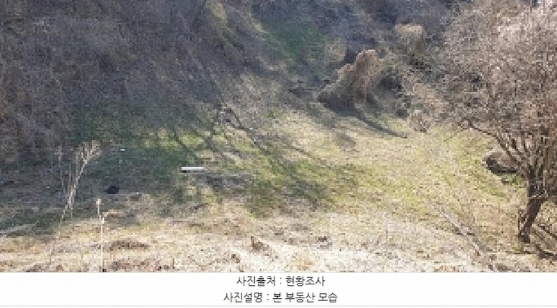 2025타경15632 충청남도 예산군 응봉면 운곡리 306 과수원 경매 이미지