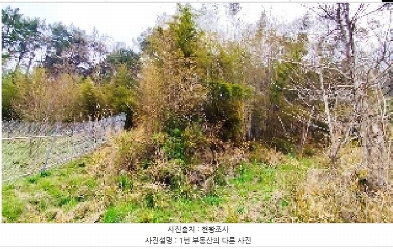 2025타경15642 충청남도 서천군 문산면 문장리 산15-1 임야 경매 이미지