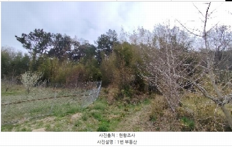 2025타경15642 충청남도 서천군 문산면 문장리 산15-1 임야 경매 이미지