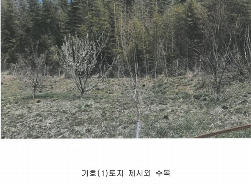 2025타경15642 충청남도 서천군 문산면 문장리 산15-1 임야 경매 이미지