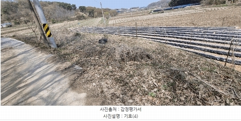 2025타경15654 충청남도 홍성군 홍동면 금평리 149 농지 경매 이미지