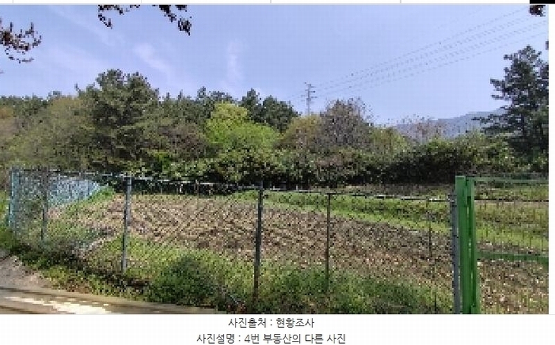 2025타경15665 충청남도 보령시 명천동 산5-12 임야 경매 이미지