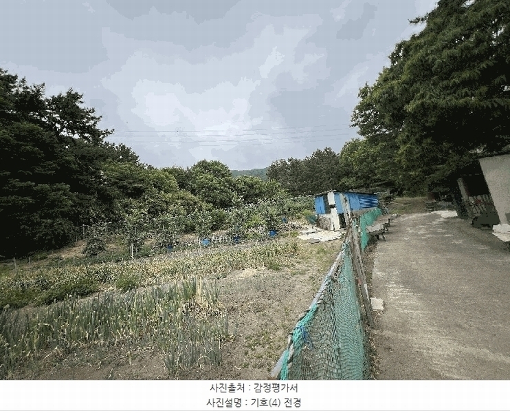 2025타경15665 충청남도 보령시 명천동 산5-12 임야 경매 이미지