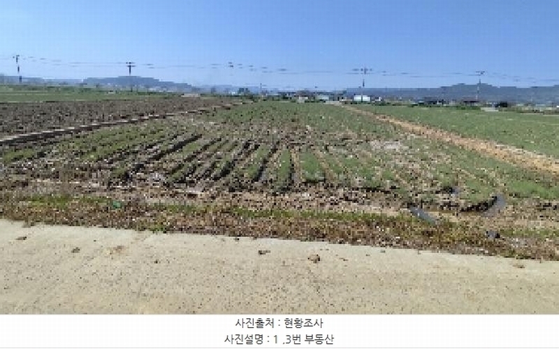 2025타경15674 충청남도 보령시 남포면 신흥리 276-1 농지 경매 이미지