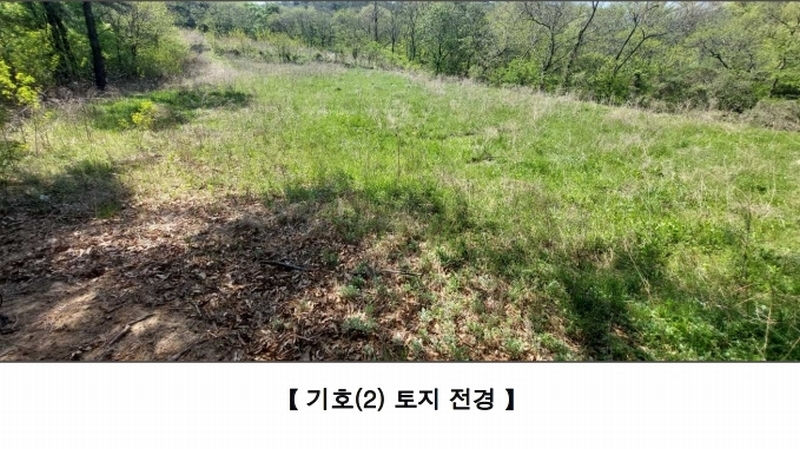 2025타경15684 충청남도 예산군 덕산면 둔리 산36-8 임야 경매 이미지