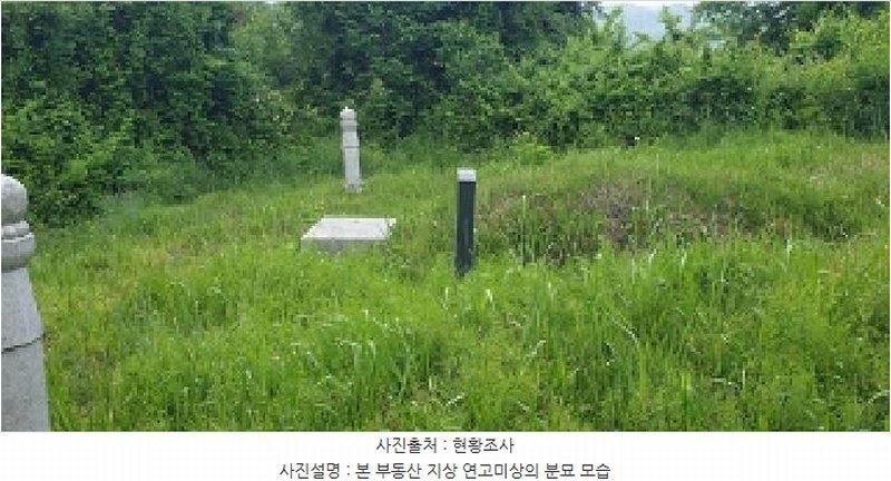 2025타경15744 충청남도 예산군 신양면 가지리 235-4 농지 경매 이미지