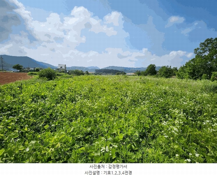 2025타경15759 충청남도 보령시 남포면 봉덕리 493-16 농지 경매 이미지