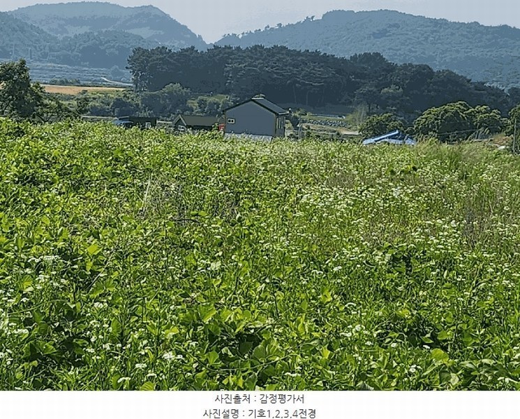 2025타경15759 충청남도 보령시 남포면 봉덕리 493-16 농지 경매 이미지