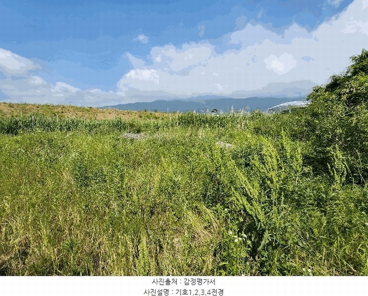 2025타경15759 충청남도 보령시 남포면 봉덕리 493-16 농지 경매 이미지