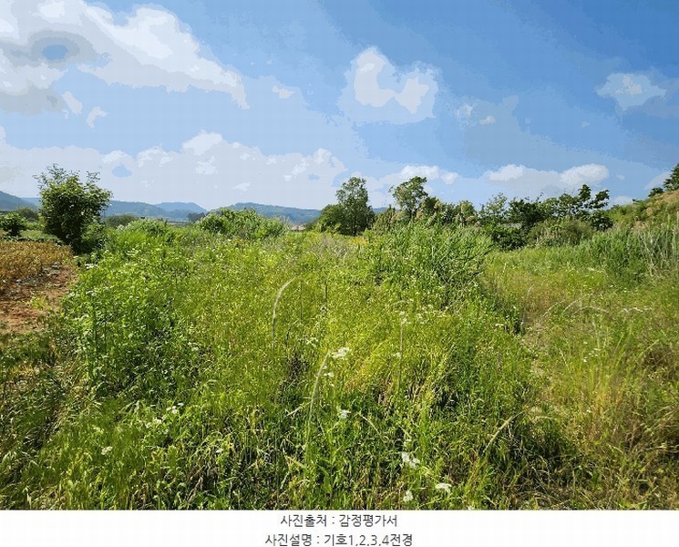 2025타경15759 충청남도 보령시 남포면 봉덕리 493-16 농지 경매 이미지