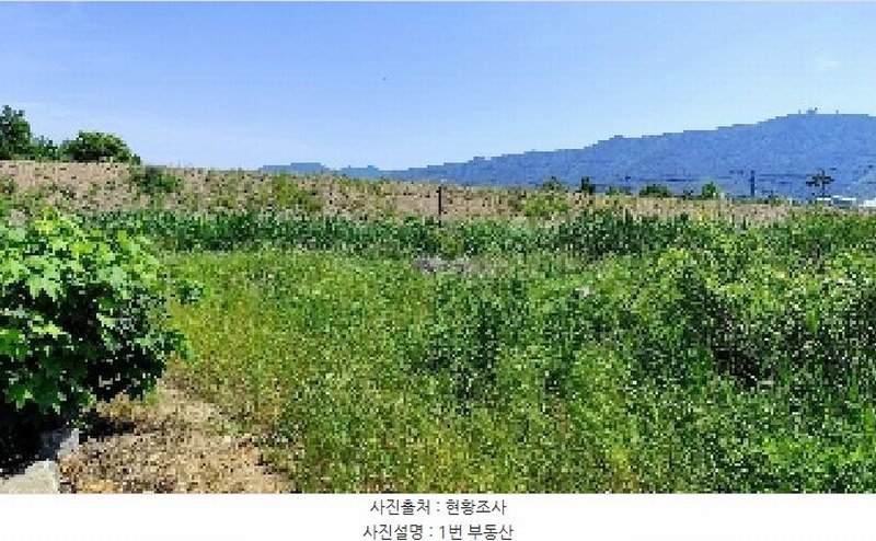 2025타경15759 충청남도 보령시 남포면 봉덕리 493-16 농지 경매 이미지