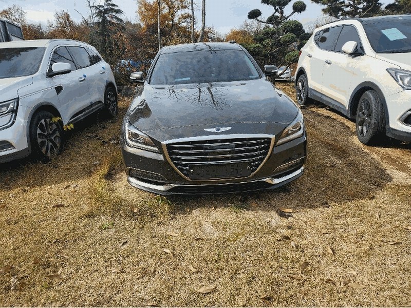 2025타경16049 충청남도 홍성군 홍북읍 봉신리 382-2, 차량보관소 G80 경매 이미지