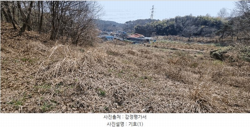 2025타경15595 충청남도 보령시 주교면 주교리 402 농지 경매 이미지