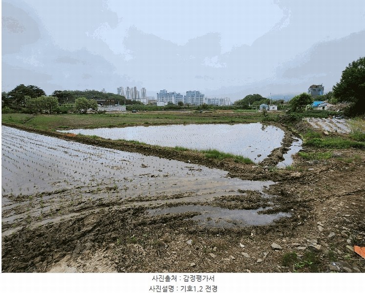 2025타경15733 충청남도 보령시 명천동 43-5 농지 경매 이미지