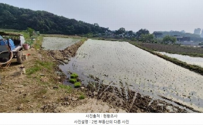 2025타경15733 충청남도 보령시 명천동 43-5 농지 경매 이미지