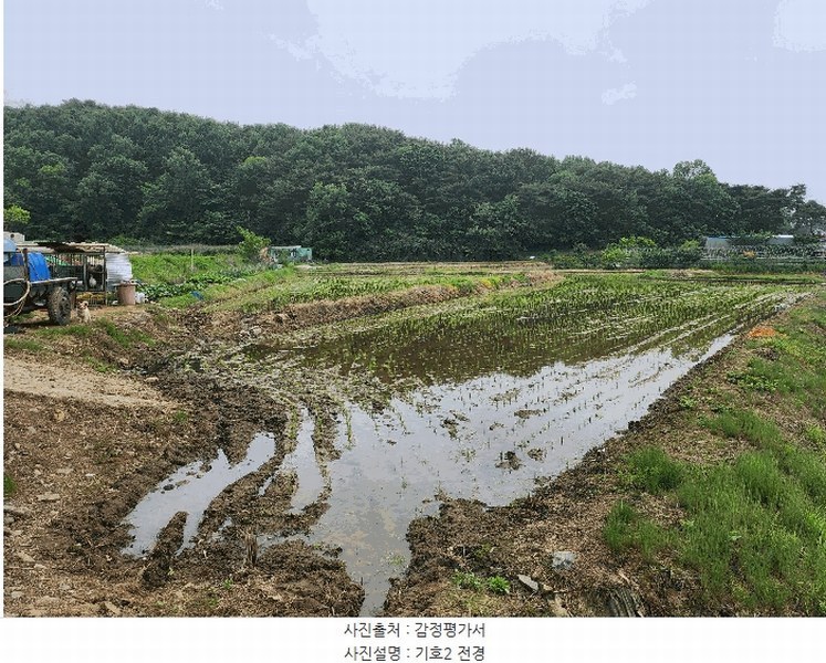 2025타경15733 충청남도 보령시 명천동 43-5 농지 경매 이미지