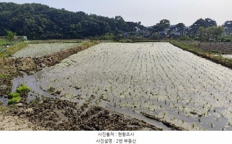 2025타경15733 충청남도 보령시 명천동 43-5 농지 경매 이미지
