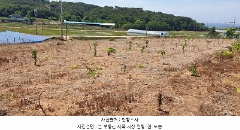 2025타경15742 충청남도 홍성군 서부면 상황리 495 농지 경매 이미지