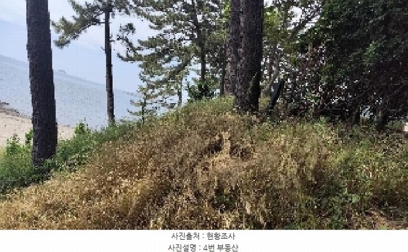 2025타경15755 충청남도 서천군 서면 도둔리 480-67 숙박시설 경매 이미지
