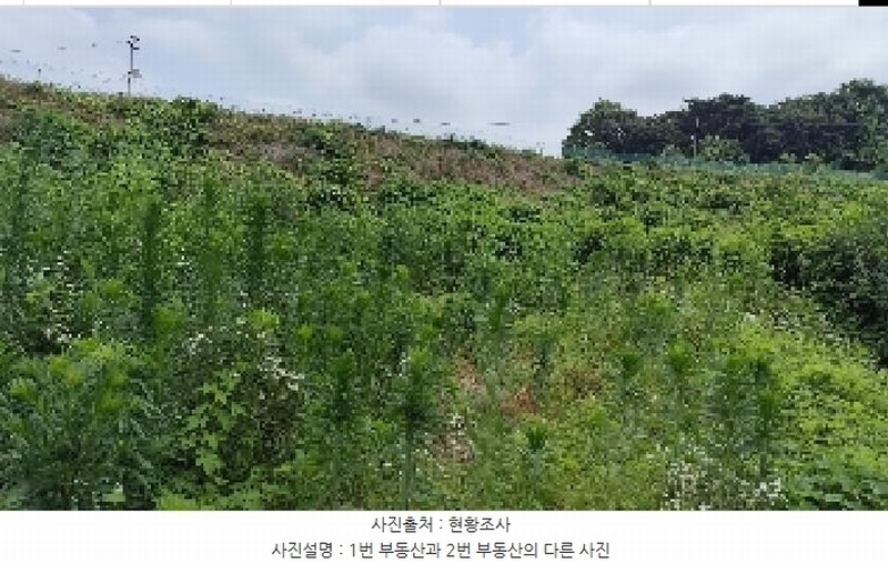 2025타경15803 충청남도 홍성군 은하면 장척리 231 대지 경매 이미지