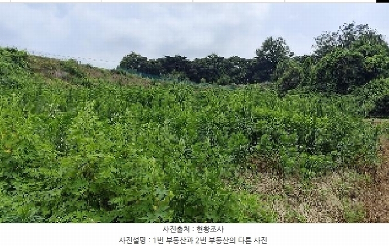 2025타경15803 충청남도 홍성군 은하면 장척리 231 대지 경매 이미지