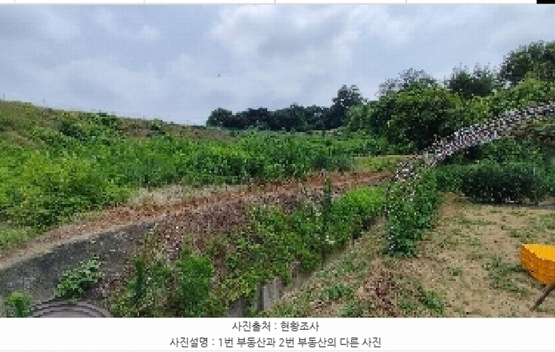 2025타경15803 충청남도 홍성군 은하면 장척리 231 대지 경매 이미지