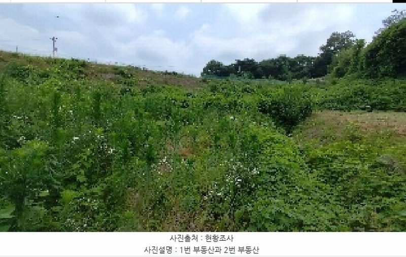 2025타경15803 충청남도 홍성군 은하면 장척리 231 대지 경매 이미지