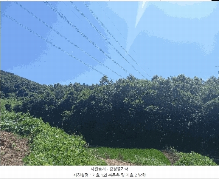 2025타경15816 충청남도 보령시 오천면 오포리 5-1 농지 경매 이미지