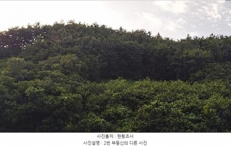 2025타경15816 충청남도 보령시 오천면 오포리 5-1 농지 경매 이미지