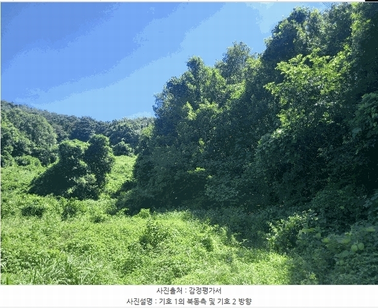 2025타경15816 충청남도 보령시 오천면 오포리 5-1 농지 경매 이미지
