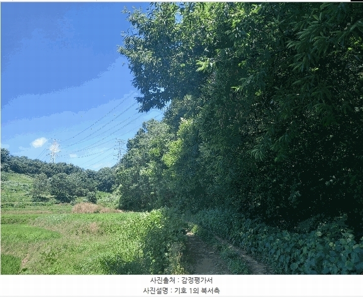 2025타경15816 충청남도 보령시 오천면 오포리 5-1 농지 경매 이미지