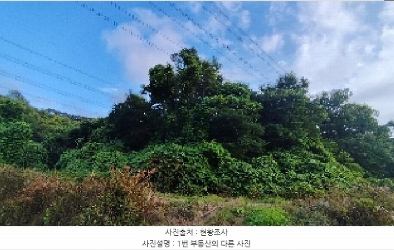 2025타경15816 충청남도 보령시 오천면 오포리 5-1 농지 경매 이미지