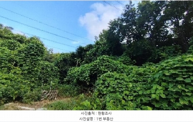 2025타경15816 충청남도 보령시 오천면 오포리 5-1 농지 경매 이미지