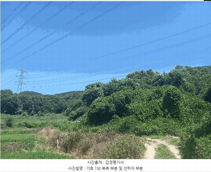 2025타경15816 충청남도 보령시 오천면 오포리 5-1 농지 경매 이미지